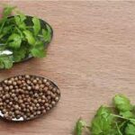 Here Are Some Of The Health Advantages Of Coriander